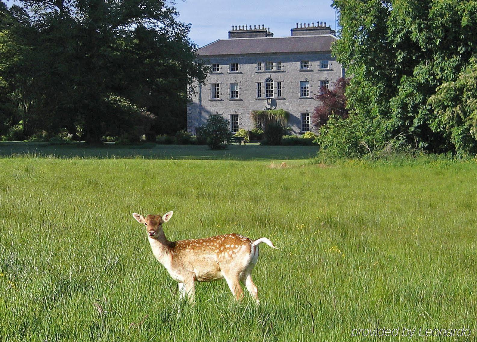 Coopershill House Riverstown (Sligo) Exterior foto